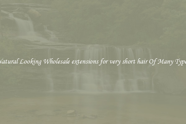 Natural Looking Wholesale extensions for very short hair Of Many Types