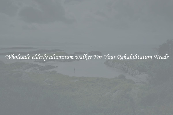 Wholesale elderly aluminum walker For Your Rehabilitation Needs