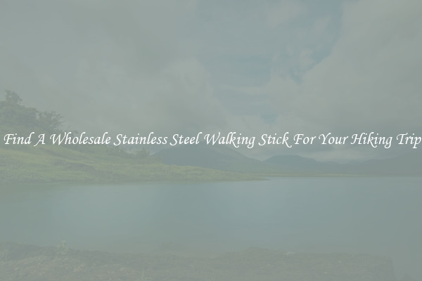 Find A Wholesale Stainless Steel Walking Stick For Your Hiking Trip