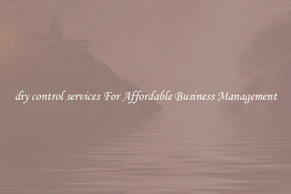 diy control services For Affordable Business Management