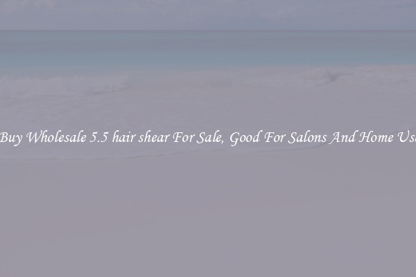 Buy Wholesale 5.5 hair shear For Sale, Good For Salons And Home Use