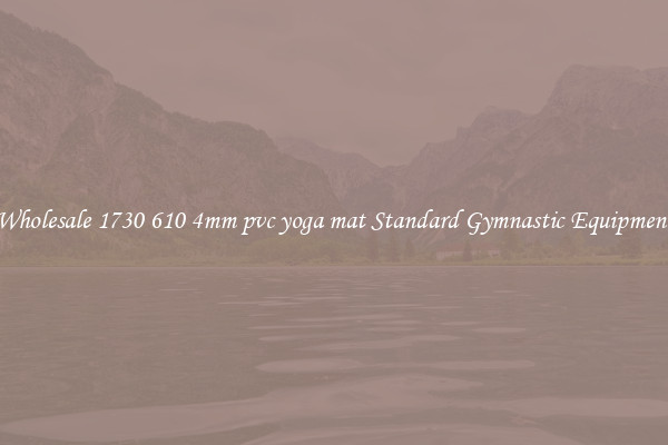 Wholesale 1730 610 4mm pvc yoga mat Standard Gymnastic Equipment