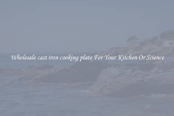 Wholesale cast iron cooking plate For Your Kitchen Or Science