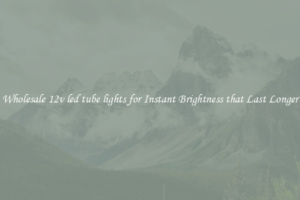 Wholesale 12v led tube lights for Instant Brightness that Last Longer
