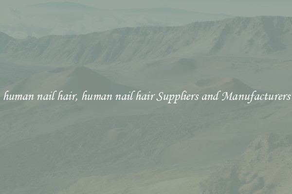 human nail hair, human nail hair Suppliers and Manufacturers