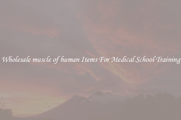 Wholesale muscle of human Items For Medical School Training