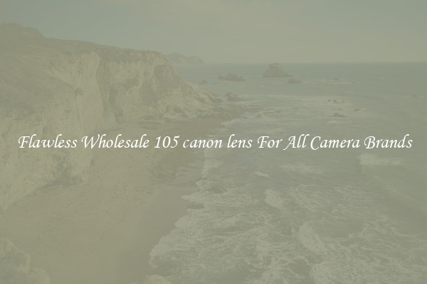 Flawless Wholesale 105 canon lens For All Camera Brands
