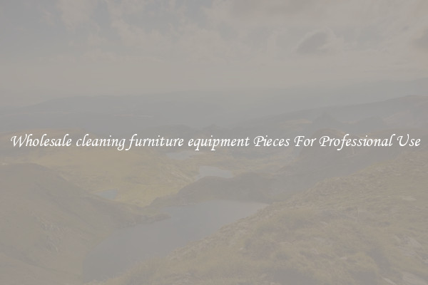 Wholesale cleaning furniture equipment Pieces For Professional Use