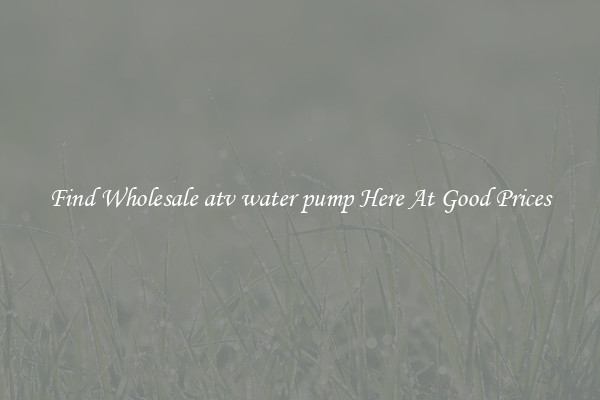 Find Wholesale atv water pump Here At Good Prices