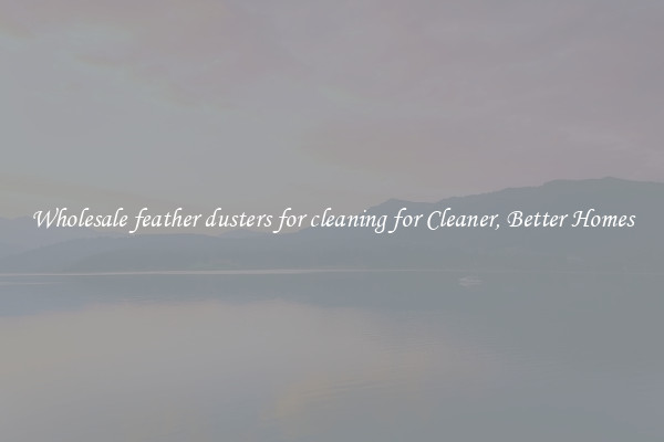 Wholesale feather dusters for cleaning for Cleaner, Better Homes