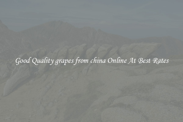Good Quality grapes from china Online At Best Rates