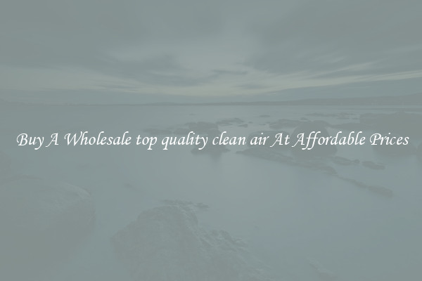 Buy A Wholesale top quality clean air At Affordable Prices