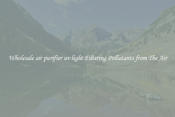 Wholesale air purifier uv light Filtering Pollutants from The Air