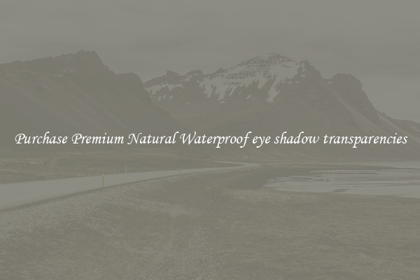 Purchase Premium Natural Waterproof eye shadow transparencies