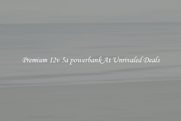 Premium 12v 5a powerbank At Unrivaled Deals