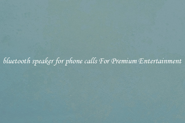 bluetooth speaker for phone calls For Premium Entertainment 
