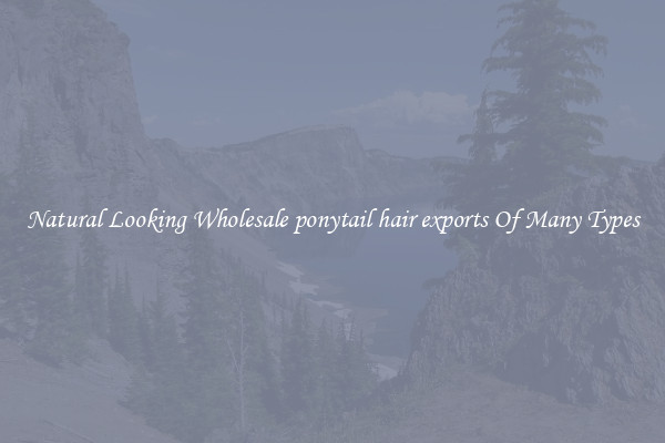 Natural Looking Wholesale ponytail hair exports Of Many Types