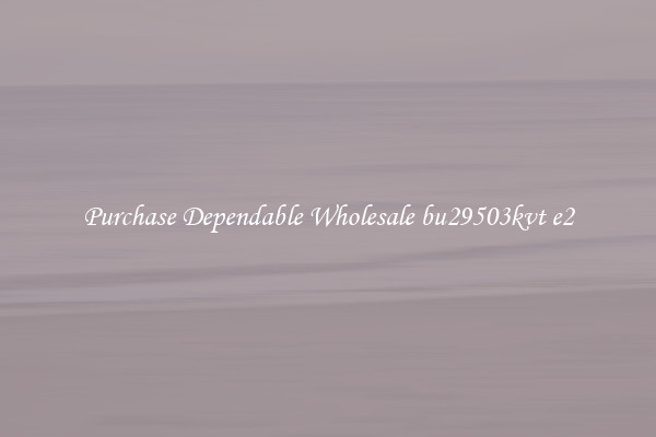Purchase Dependable Wholesale bu29503kvt e2