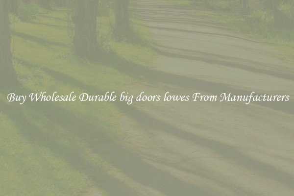 Buy Wholesale Durable big doors lowes From Manufacturers