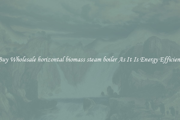 Buy Wholesale horizontal biomass steam boiler As It Is Energy Efficient